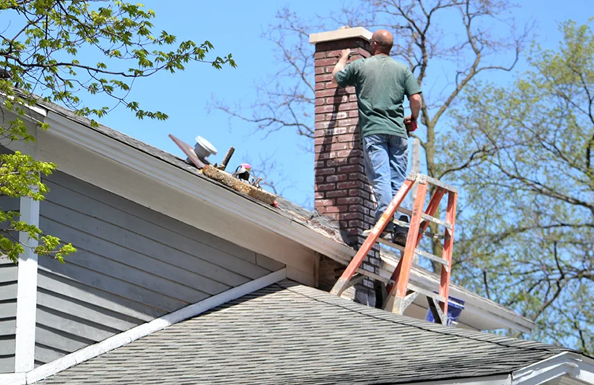 Chimney & Fireplace Inspections Services in Centerville, UT